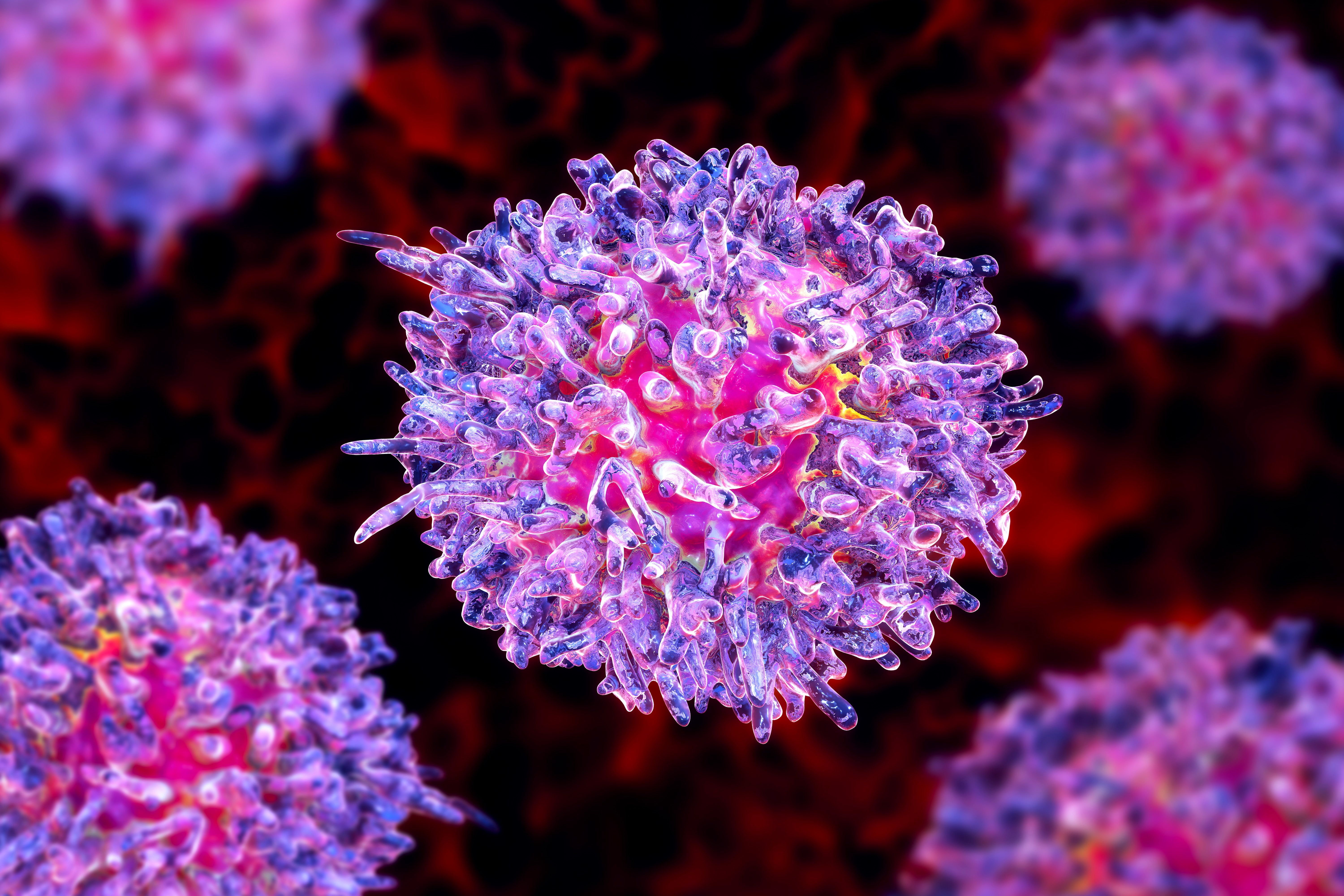 Hairy cell leukemia -- Image credit: Dr_Microbe | stock.adobe.com