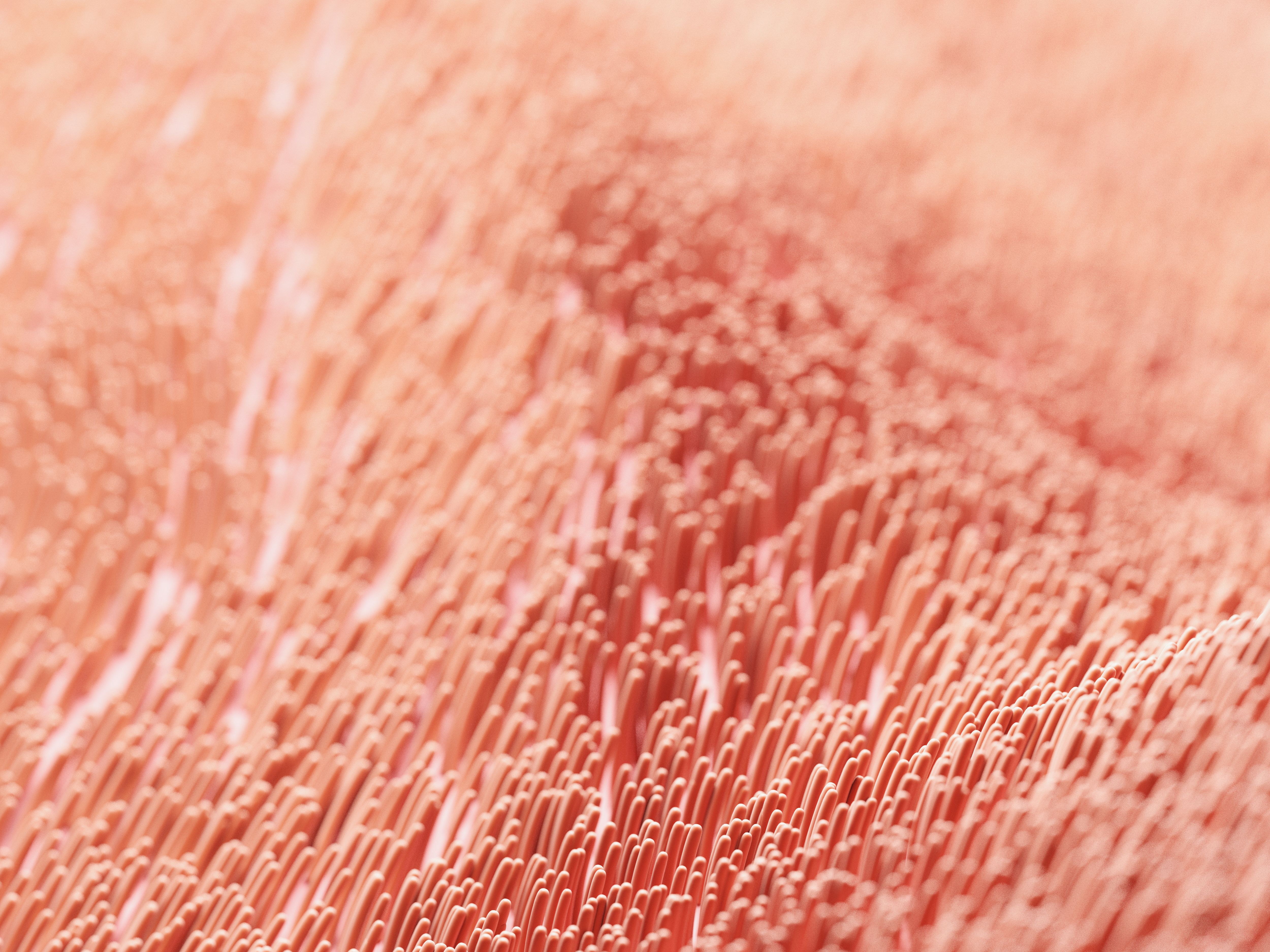 3D rendering of human cilia.