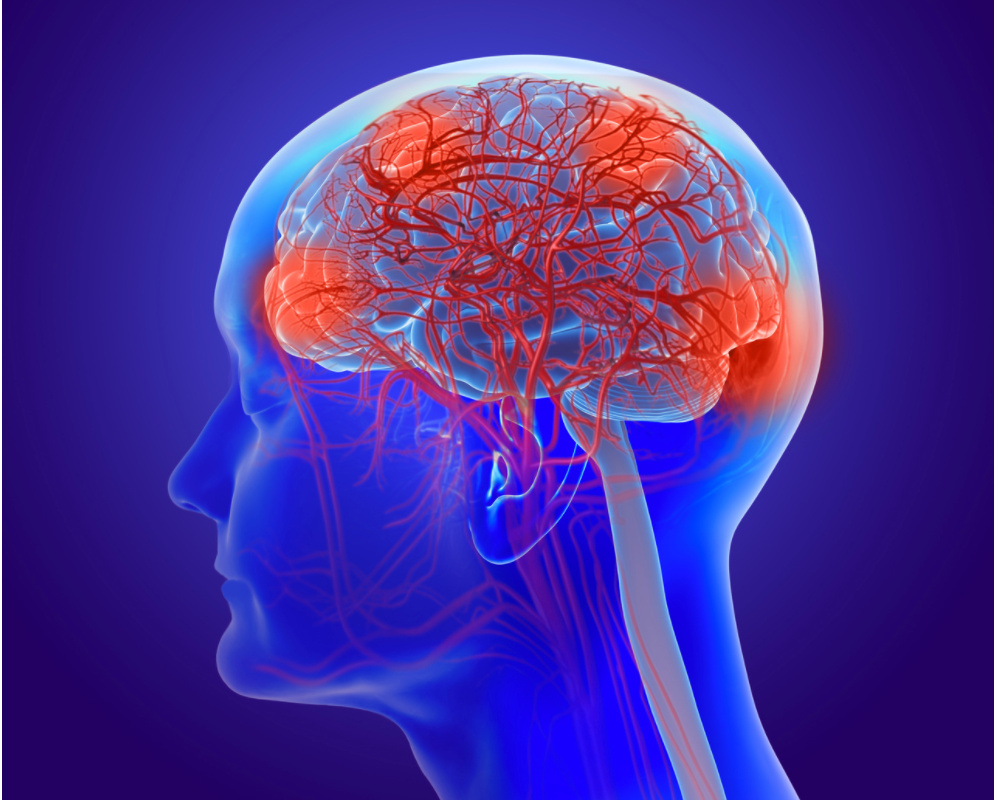 Response to Psychedelic Drugs May Be Determined by Genetic Variations in Serotonin Receptor