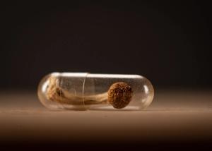whole psilocybin mushroom inside a clear medicine capsule.on wood surface; low angle view horizontal - Image credit: Zim | stock.adobe.com