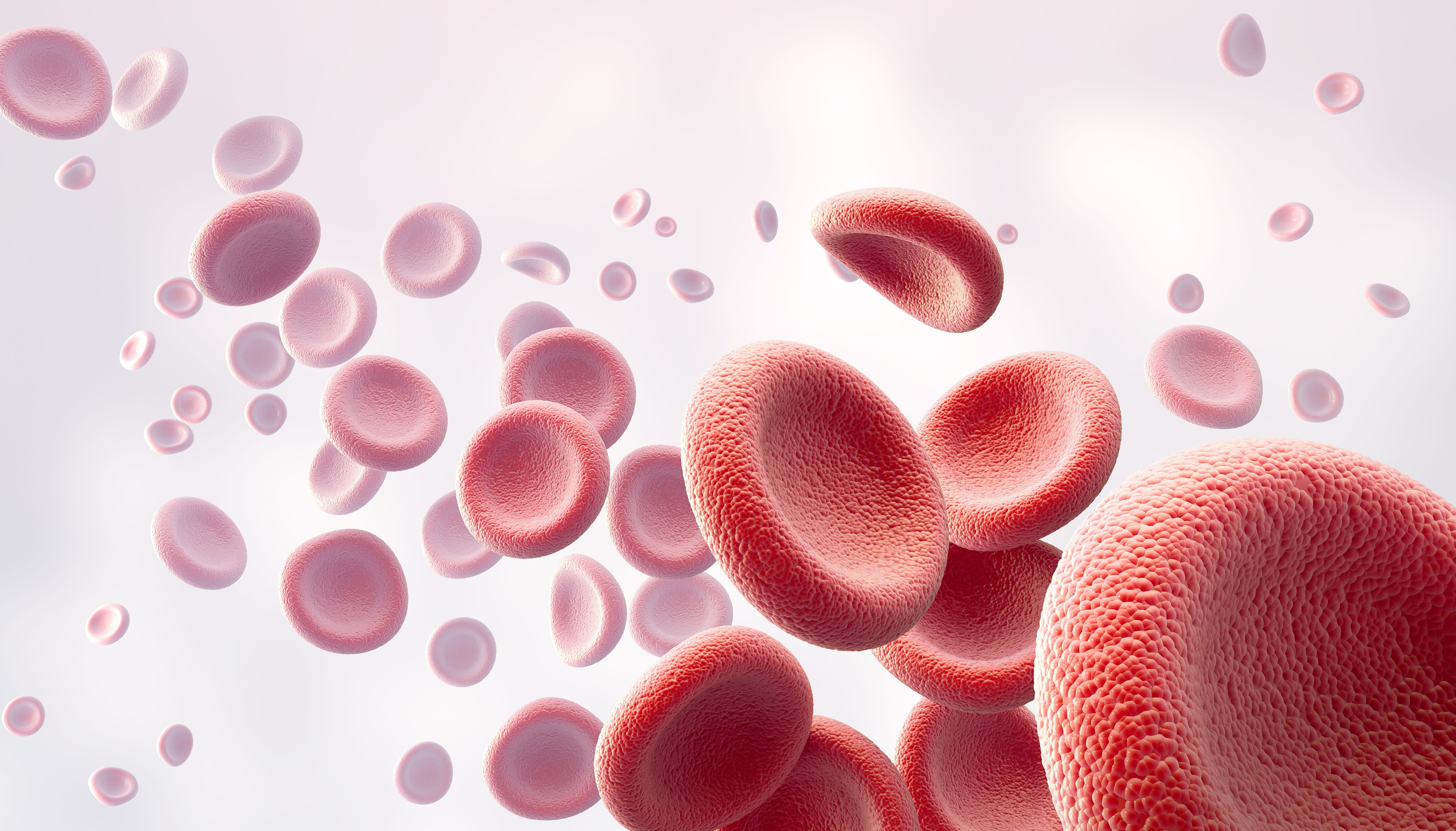 Red blood cells | Image Credit: © Anusorn - stock.adobe.com