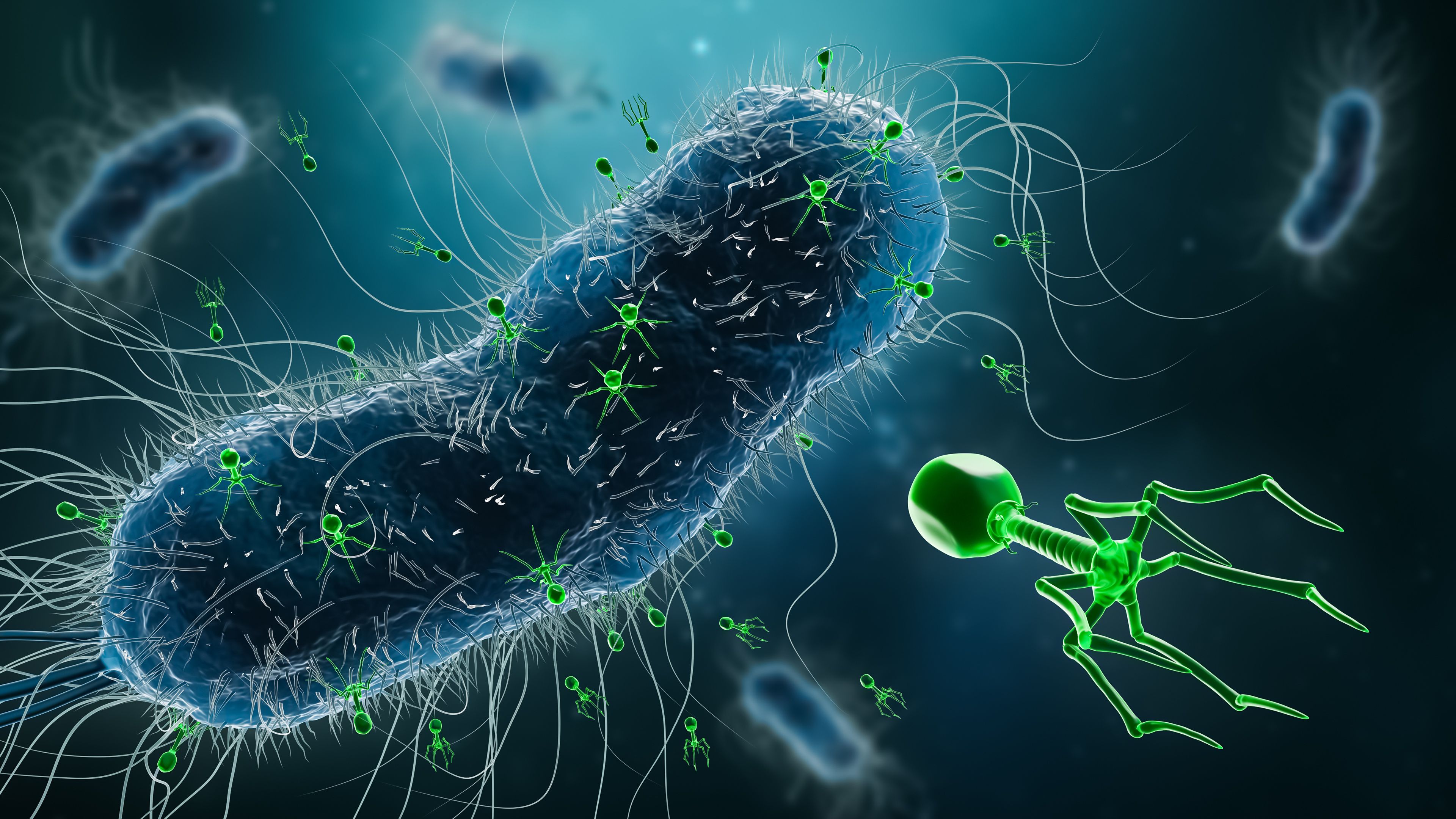 Phage Therapy: Exploring the Future of Infection Treatment