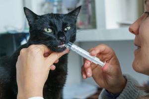 Board of Pharmacy Specialties Considers Specialty Certification for Veterinary Pharmacists