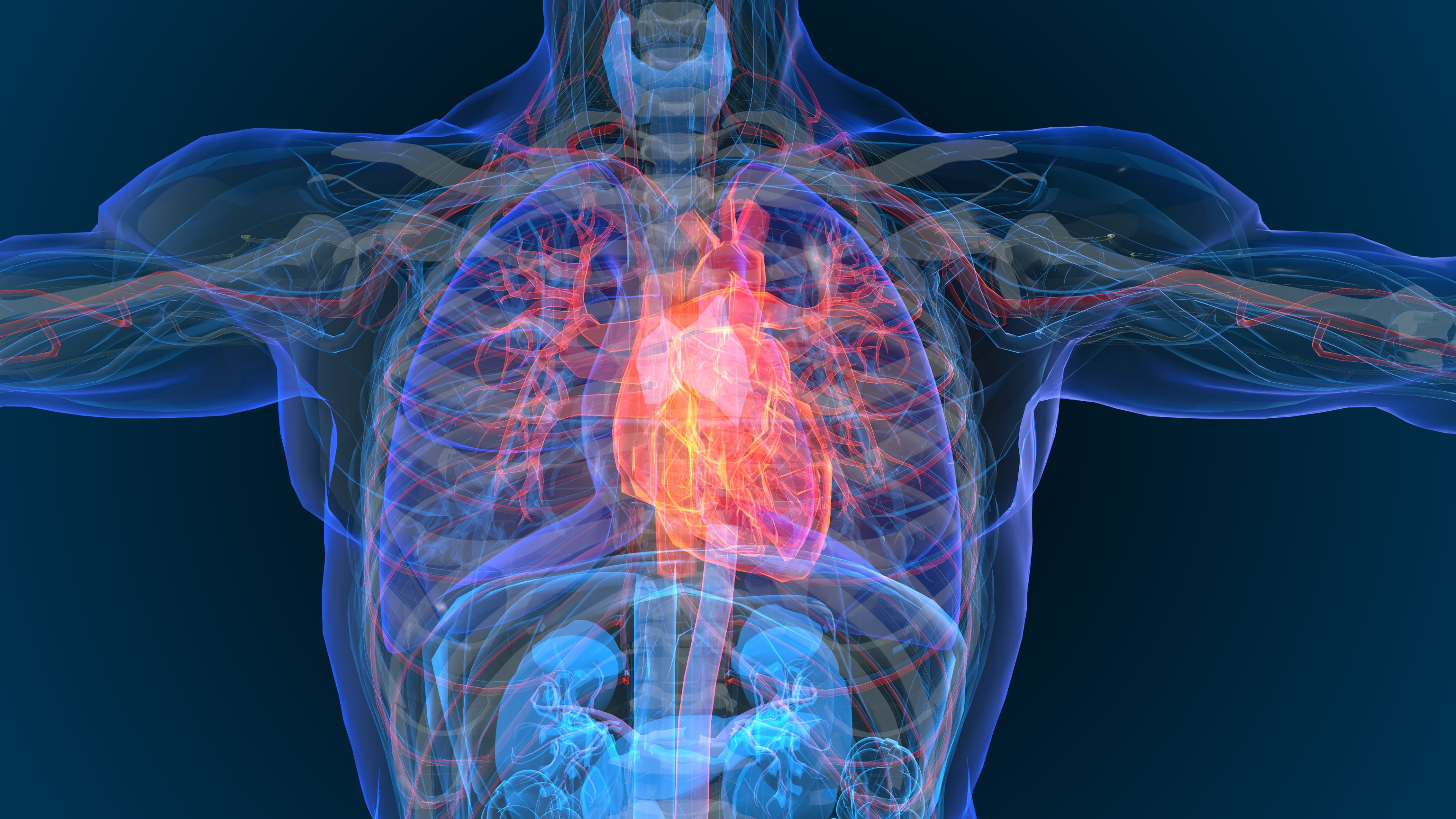 ngiotensin receptor neprilysin inhibitors (ARNI) could be a promising alterative to angiotensin receptor blockers (ARB) or angiotensin converting enzyme (ACE) inhibitors. | Image Credit: appledesign | stock.adobe.com