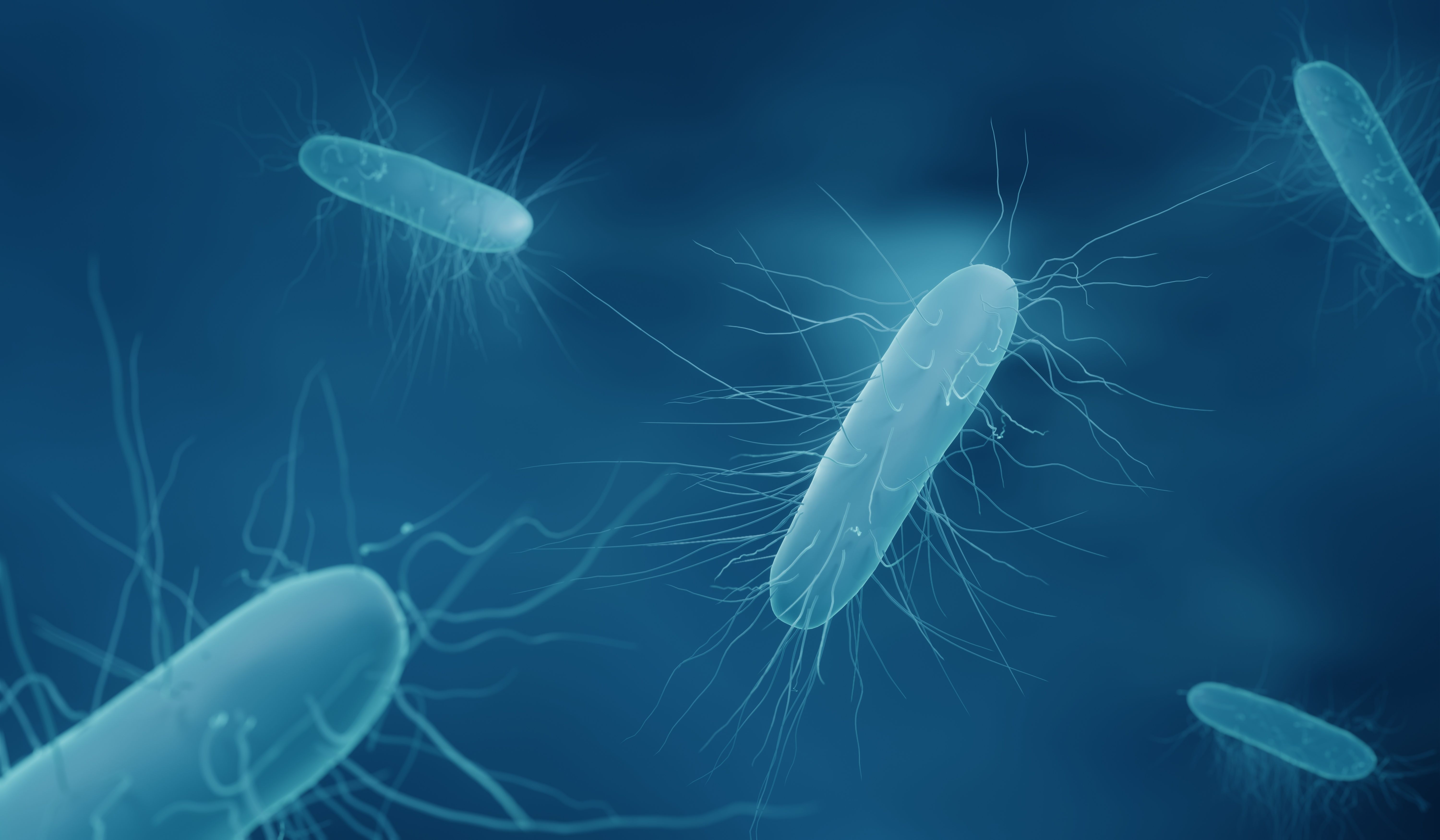 Recurrent C difficile Infection Prevention: Efficacy and Administration of Fecal Microbiota Therapy