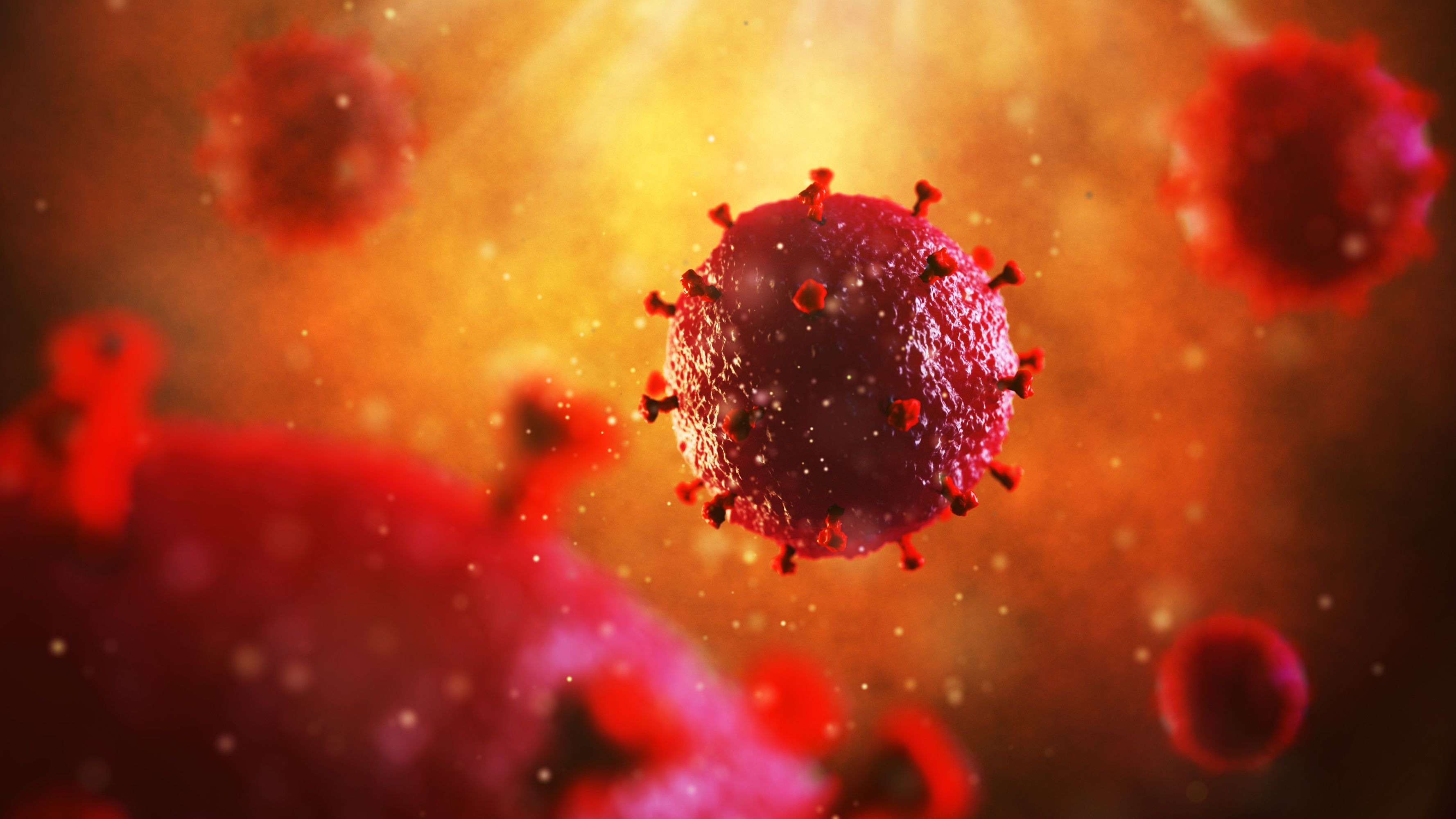 3d illustration of HIV virus. Medical concept - Image credit: artegorov3@gmail | stock.adobe.com