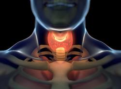 Treatments for Thyroid Disease Are Generally Effective and Safe