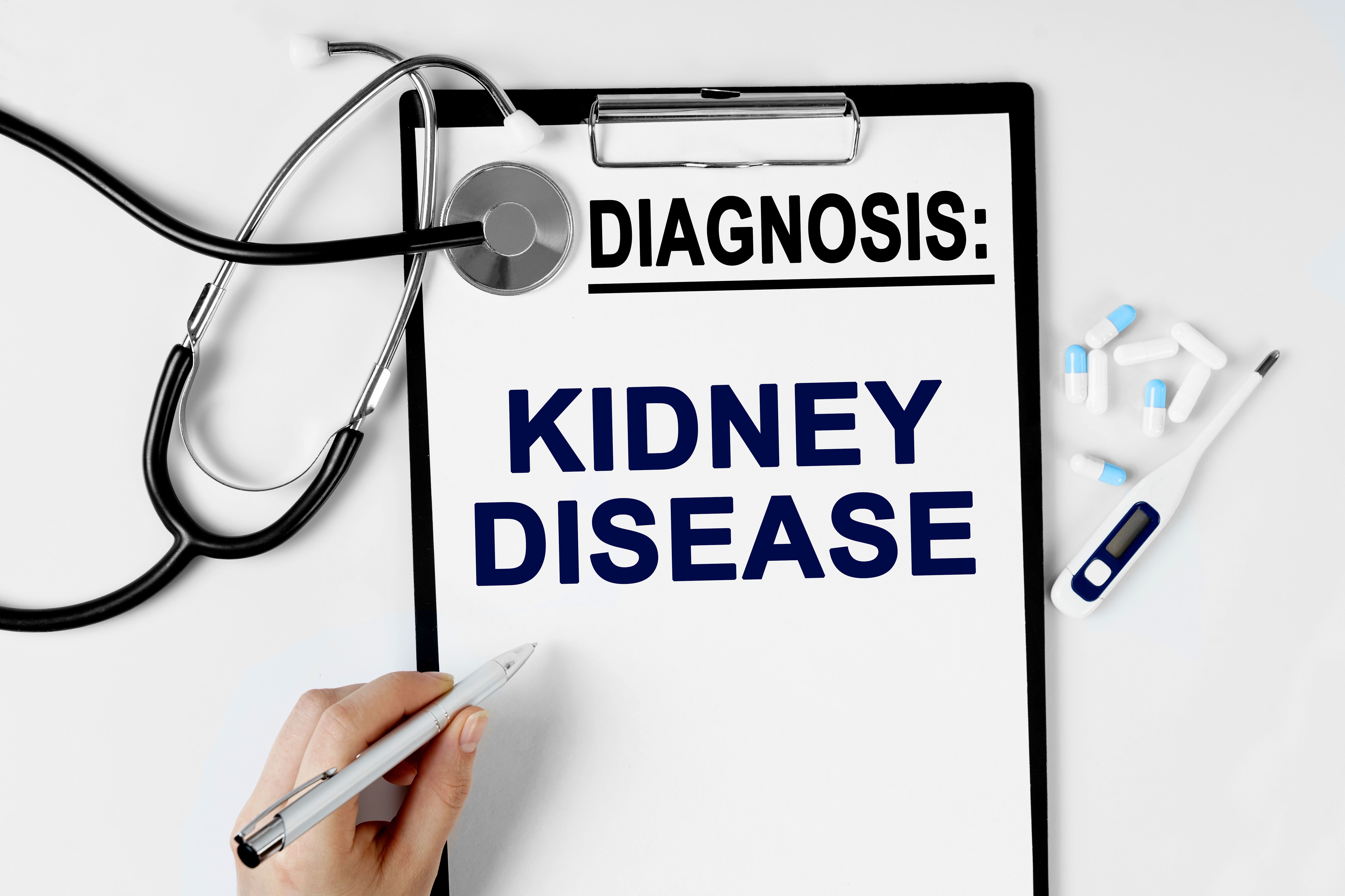 Diagnosis papers for chronic kidney disease (CKD) -- Image credit: Dzmitry | stock.adobe.com