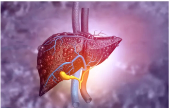 Image credit: Rasi - stock.adobe.com