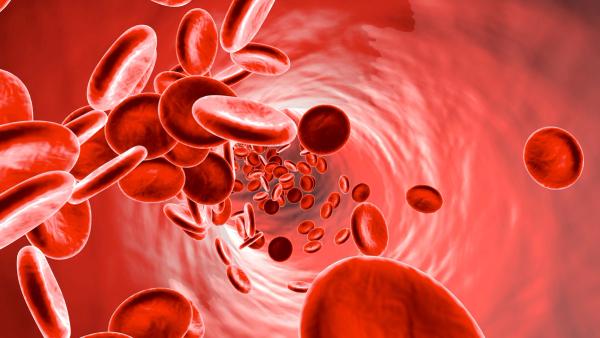 Anemia in Multiple Myeloma: Mechanisms, Management, and Emerging Therapies