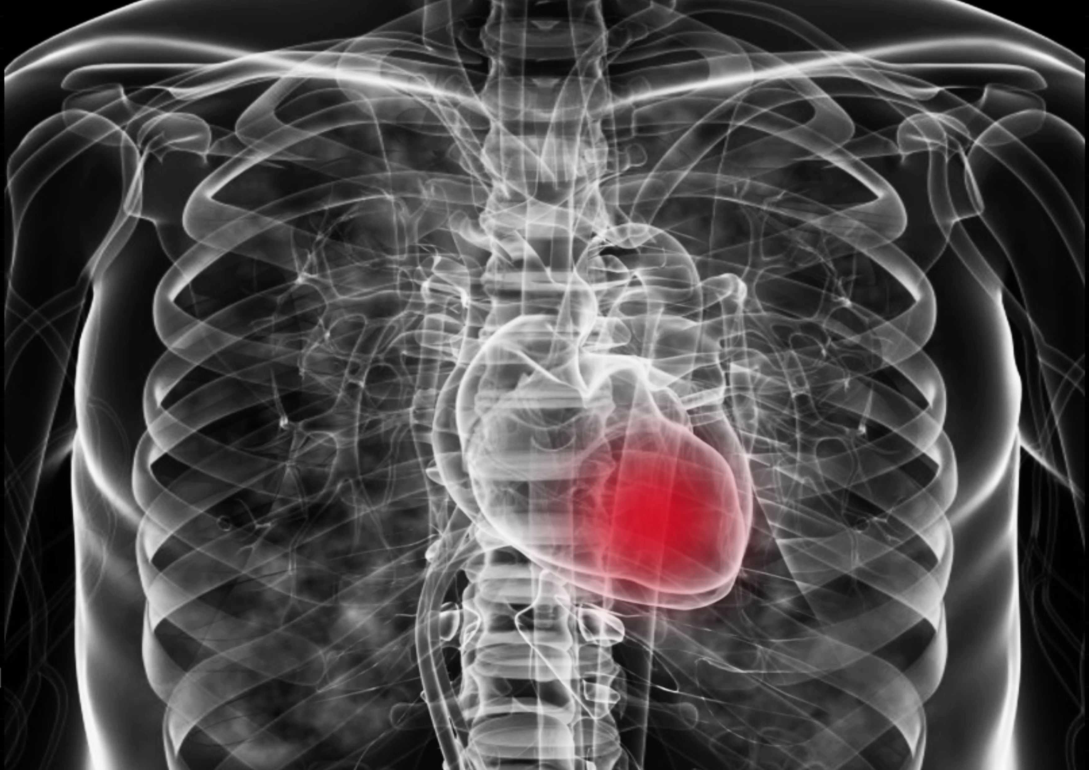 Heart failure (HFpEF) -- Image credit: Trsakaoe | stock.adobe.com