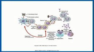 Histamine and Antihistamines