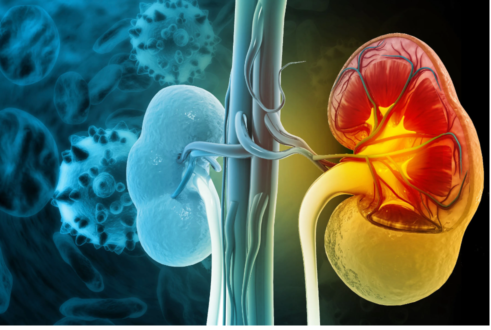 5 key sessions and interviews from the ASN 2023 Kidney Annual Meeting