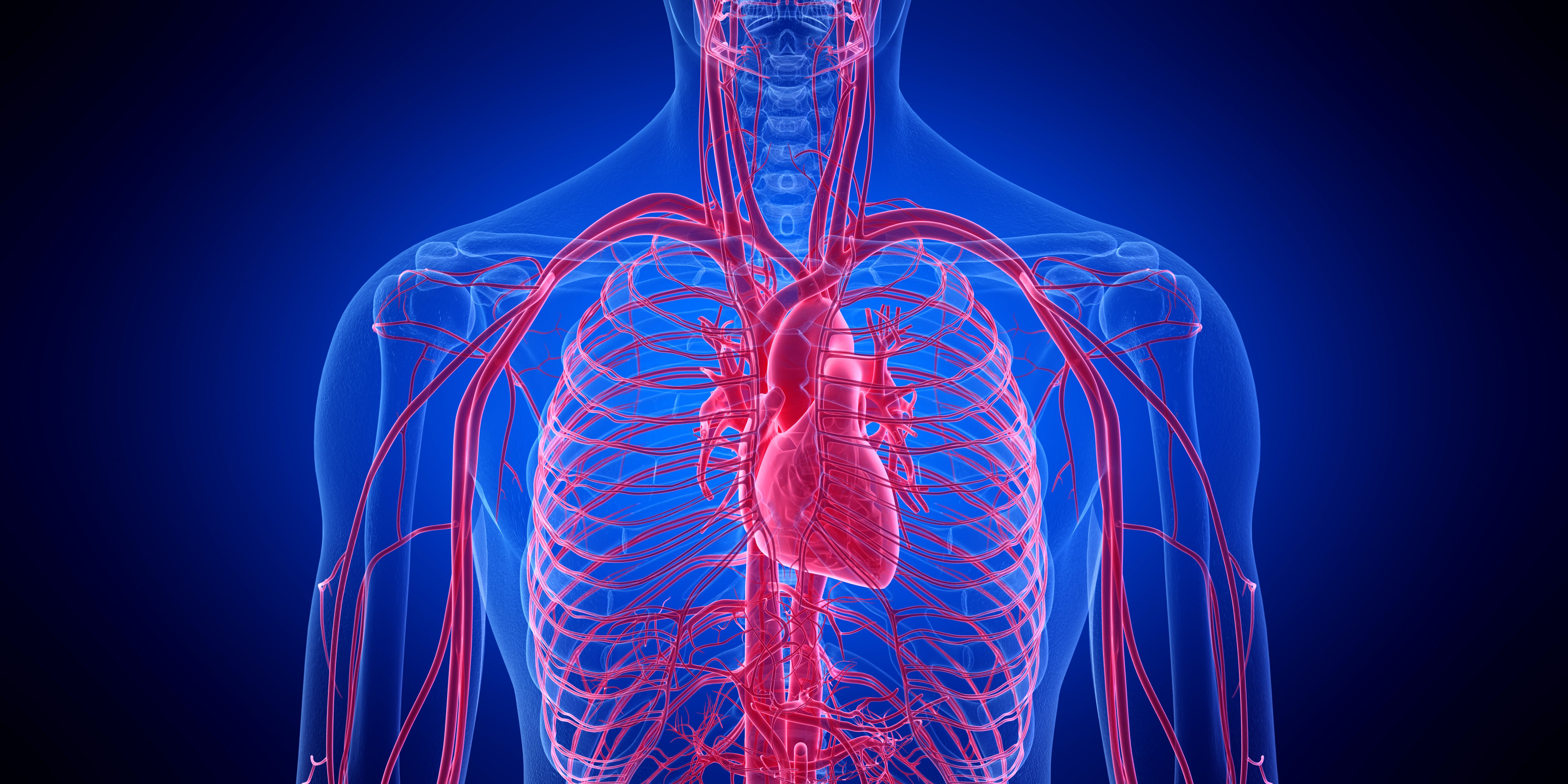 Cardiovascular Outcomes in Patients Intolerant to Statins Treated with Bempedoic Acid
