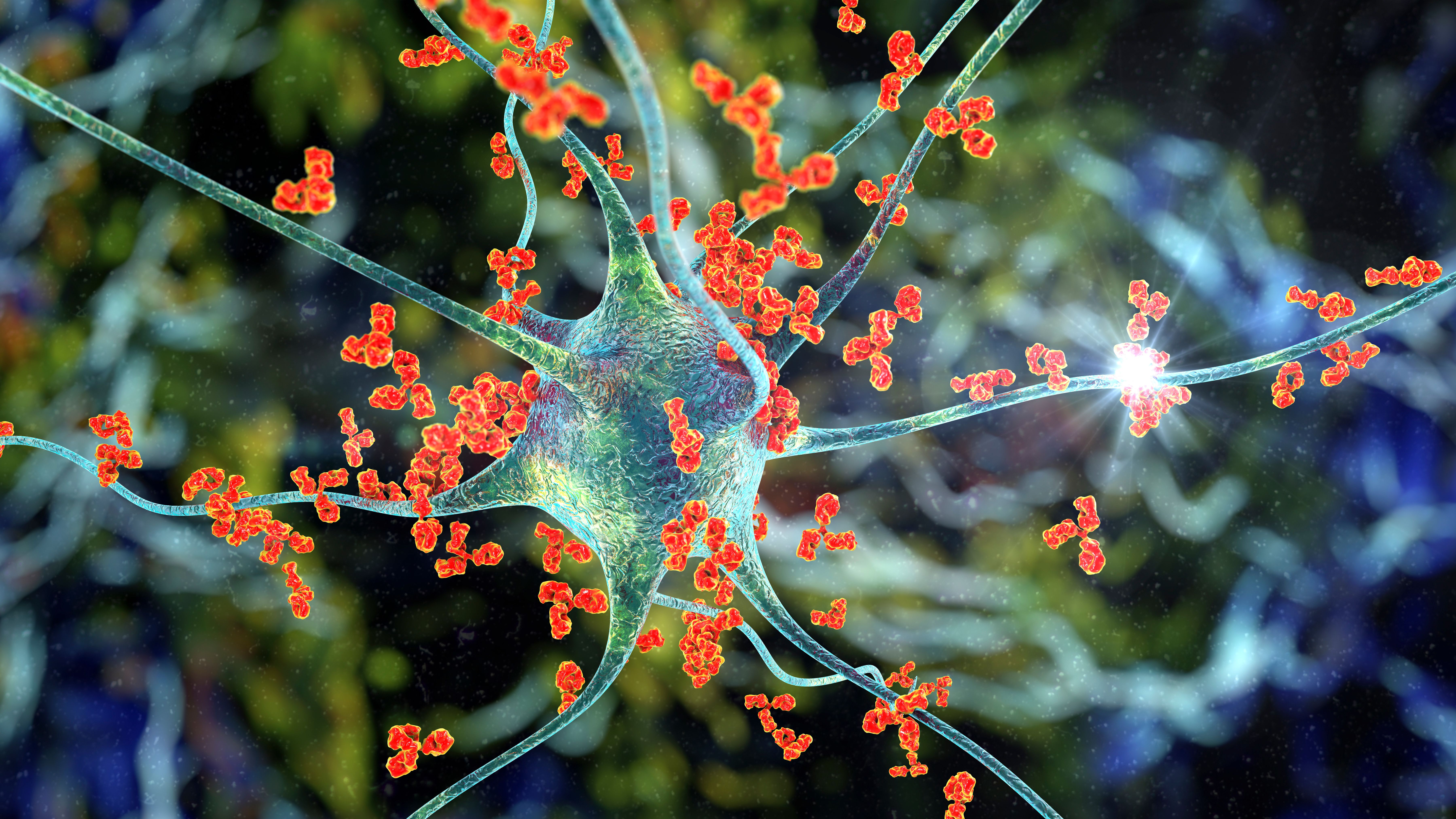 Antibodies attacking neuron - Image credit: Dr_Microbe | stock.adobe.com