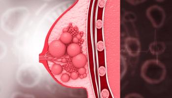 Cross-section of anatomical breast | Image Credit: © Rasi - stock.adobe.com