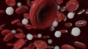 July 2026 in Hematology: 15 Developments That Advanced—and Challenged—Patient Care
