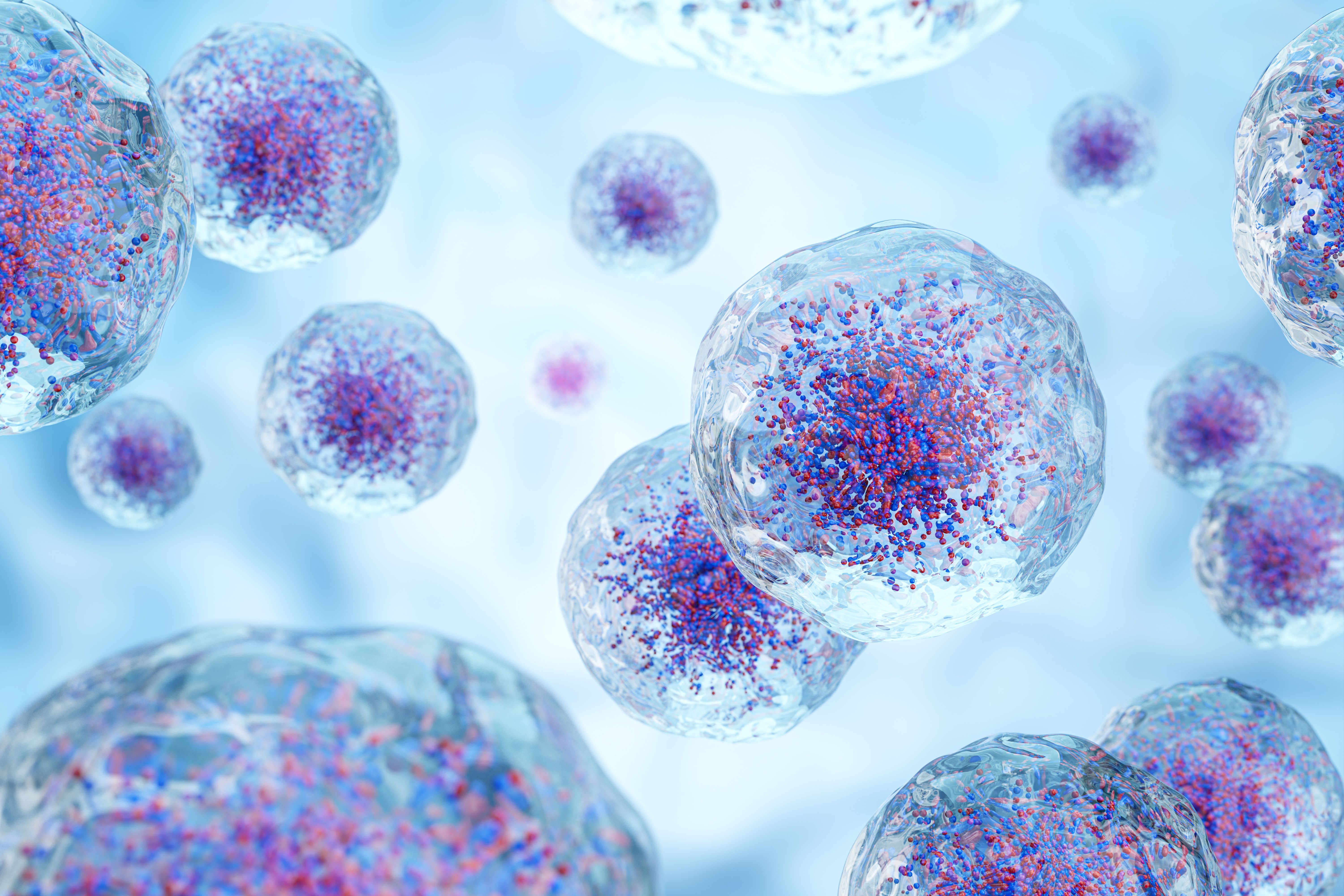 3D visualization of white blood cells. | Image Credit: © stockdevil - stock.adobe.com