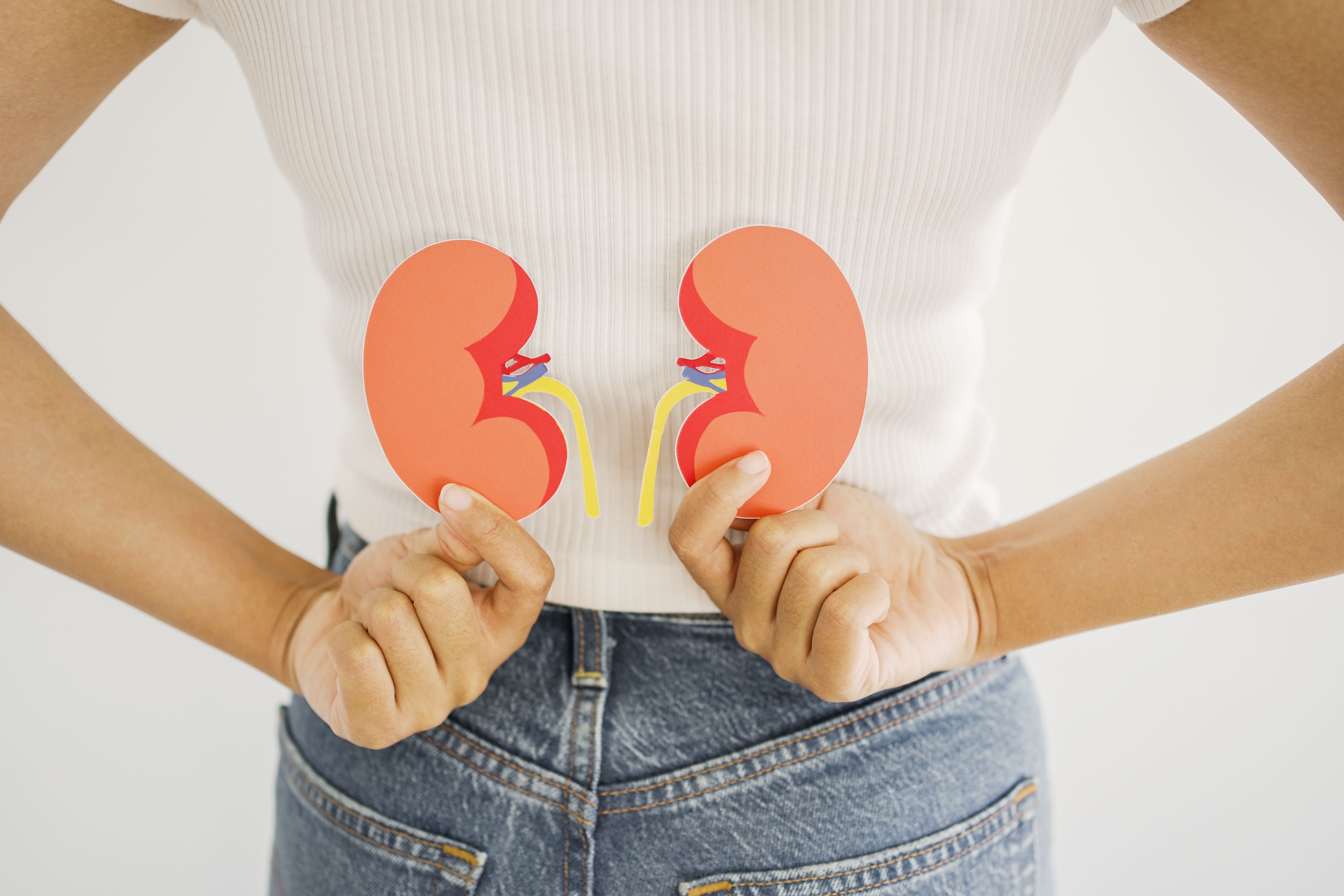 Patient holding paper cut-outs of kidneys to her lower back -- Image credit: SewcreamStudio | stock.adobe.com