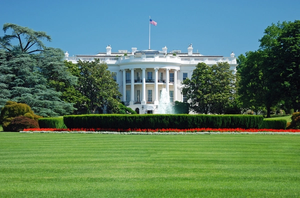 Health Care Issues are Key Topics for Many Voters in the Presidential Election