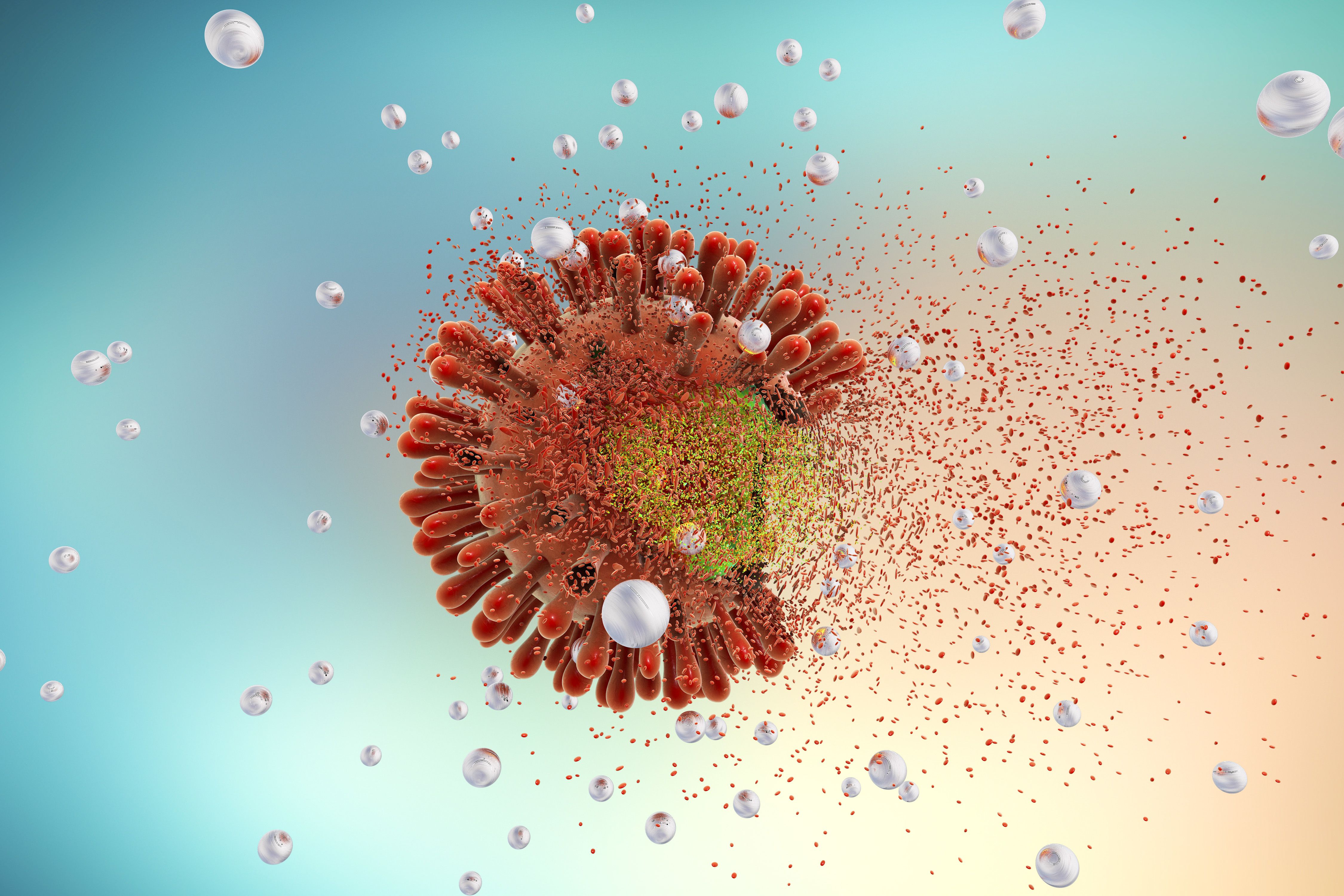 HIV cell