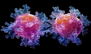 3D visualization of CAR T-cell therapy in action | Image Credit: © Galina - stock.adobe.com