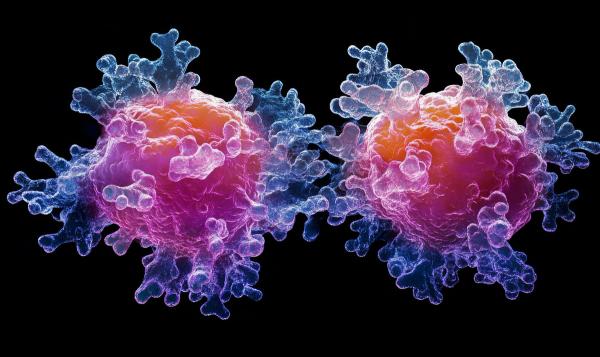 3D visualization of CAR T-cell therapy in action | Image Credit: © Galina - stock.adobe.com