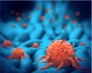 Oral Therapies for Hormone Receptor – Positive Breast Cancers