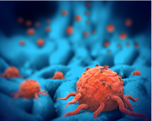 Oral Therapies for Hormone Receptor – Positive Breast Cancers