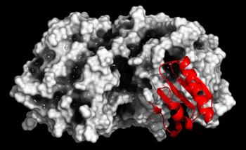Proprotein convertase subtilisin kexin type 9 (PCSK9) protein. 3D rendering, cartoon representation (pro-domain) combined with semi-transparent surfaces (remainder)