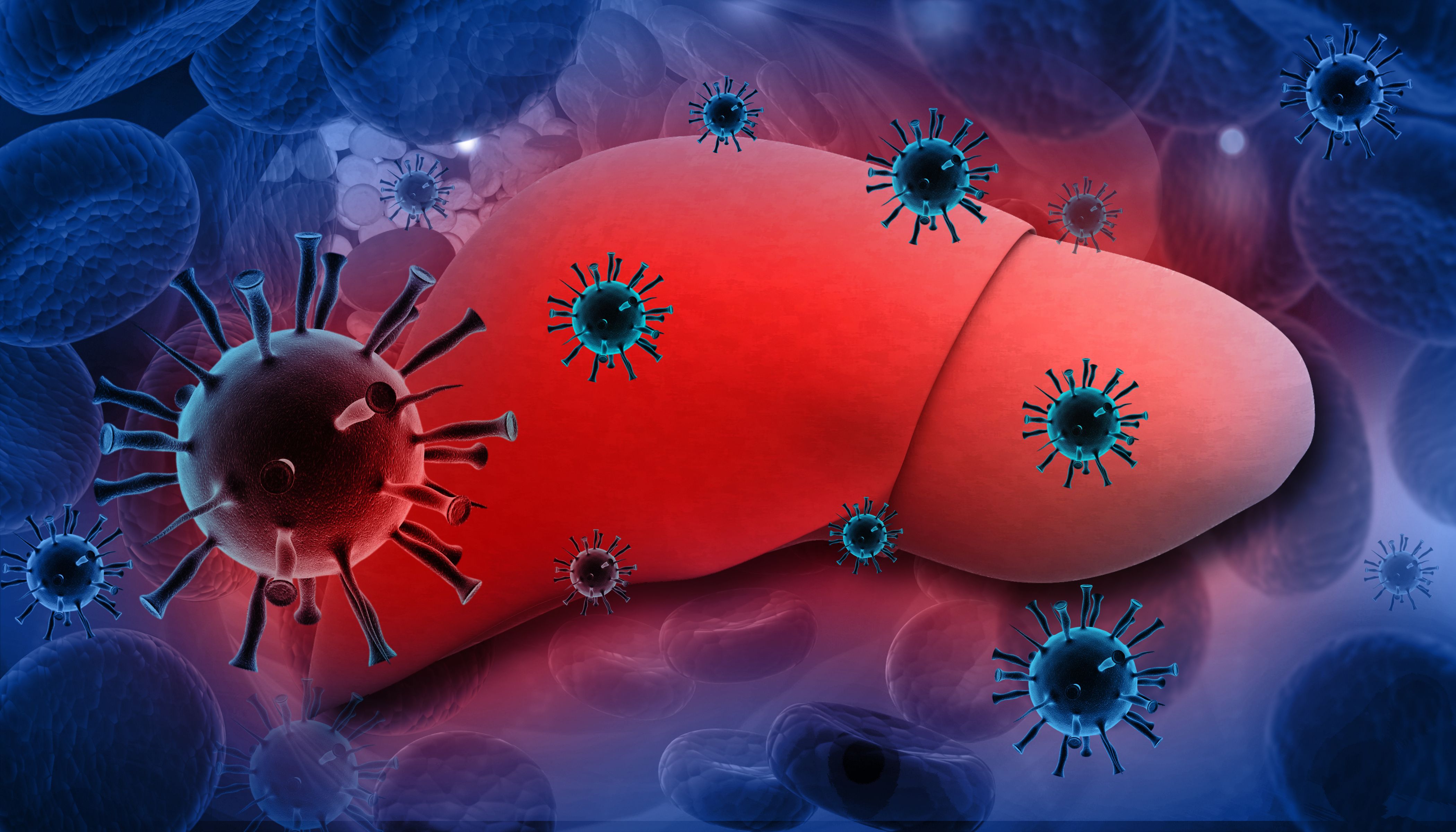 Hepatitis C | Image Credit: bluebay2014 - stock.adobe.com