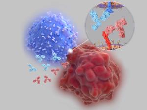 Immune checkpoint inhibitors: Interaction between PD-1 and PD-L1 blocked by therapeutic antibodies | Image Credit: Juan Gärtner | stock.adobe.com