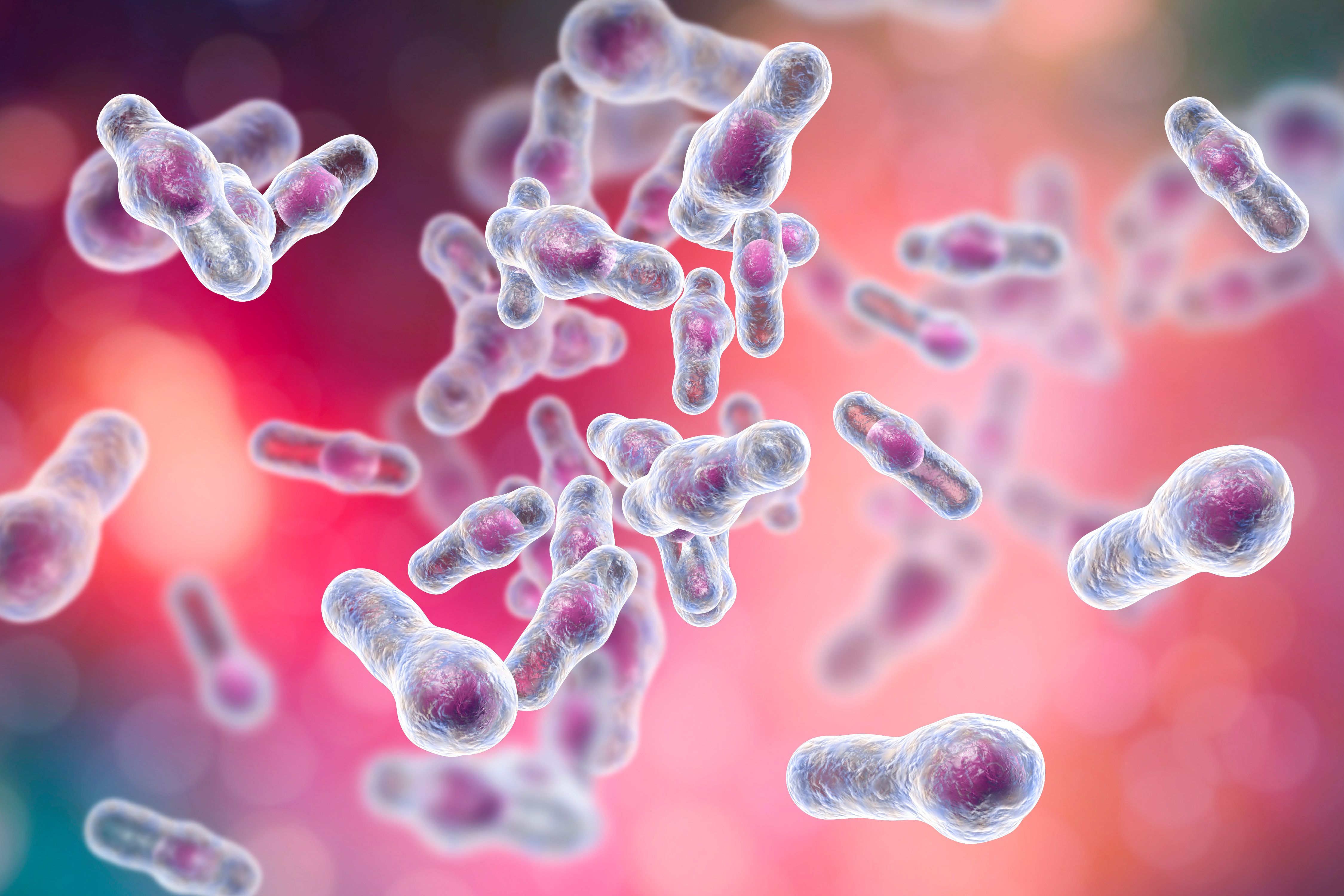 Data Show Rectal Administration of Fecal Microbiota for Recurrent CDI Safe, Simple for Routine Clinical Practice