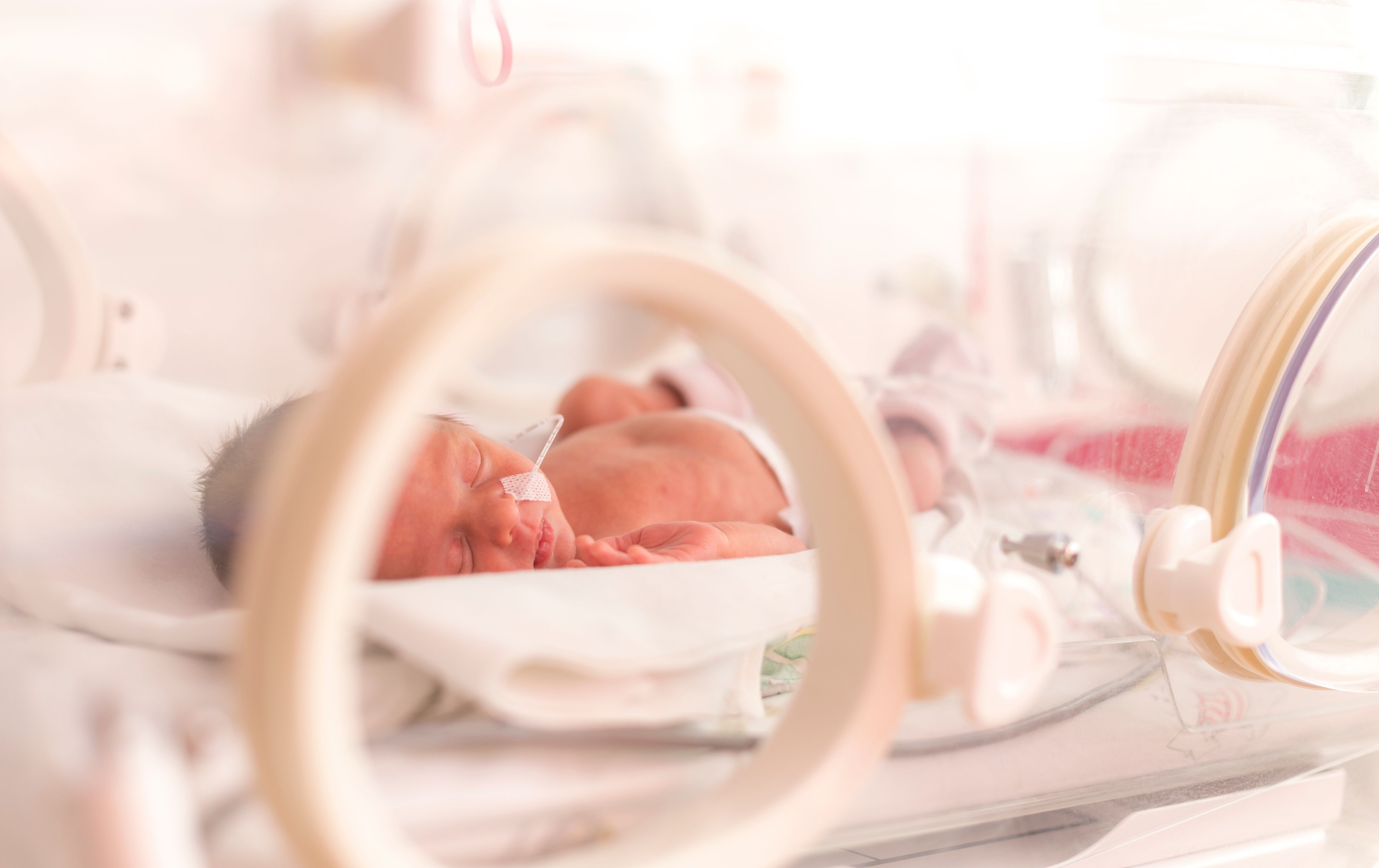Premature newborn baby girl | Image Credit: ondrooo | stock.adobe.com