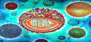 Utilizing Contemporary Art to Transform Health Education