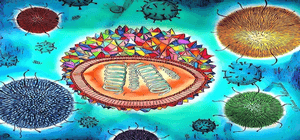 Utilizing Contemporary Art to Transform Health Education