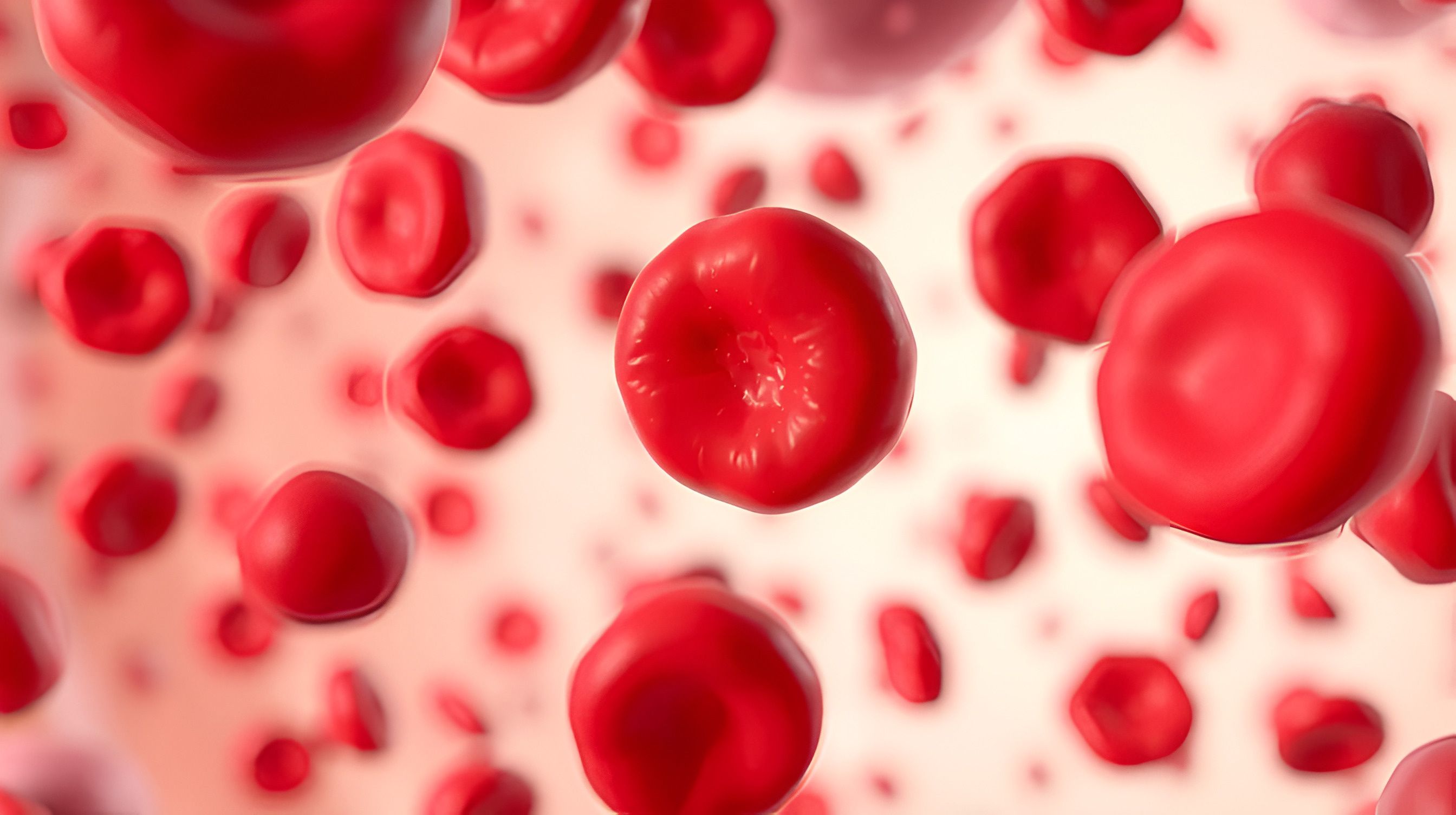 Primary myelofibrosis (PMF) cells in blood flow - closeup view 3d illustration | Image Credit: Danielle | stock.adobe.com
