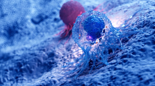 Image Credit: SciePro - stock.adobe.com