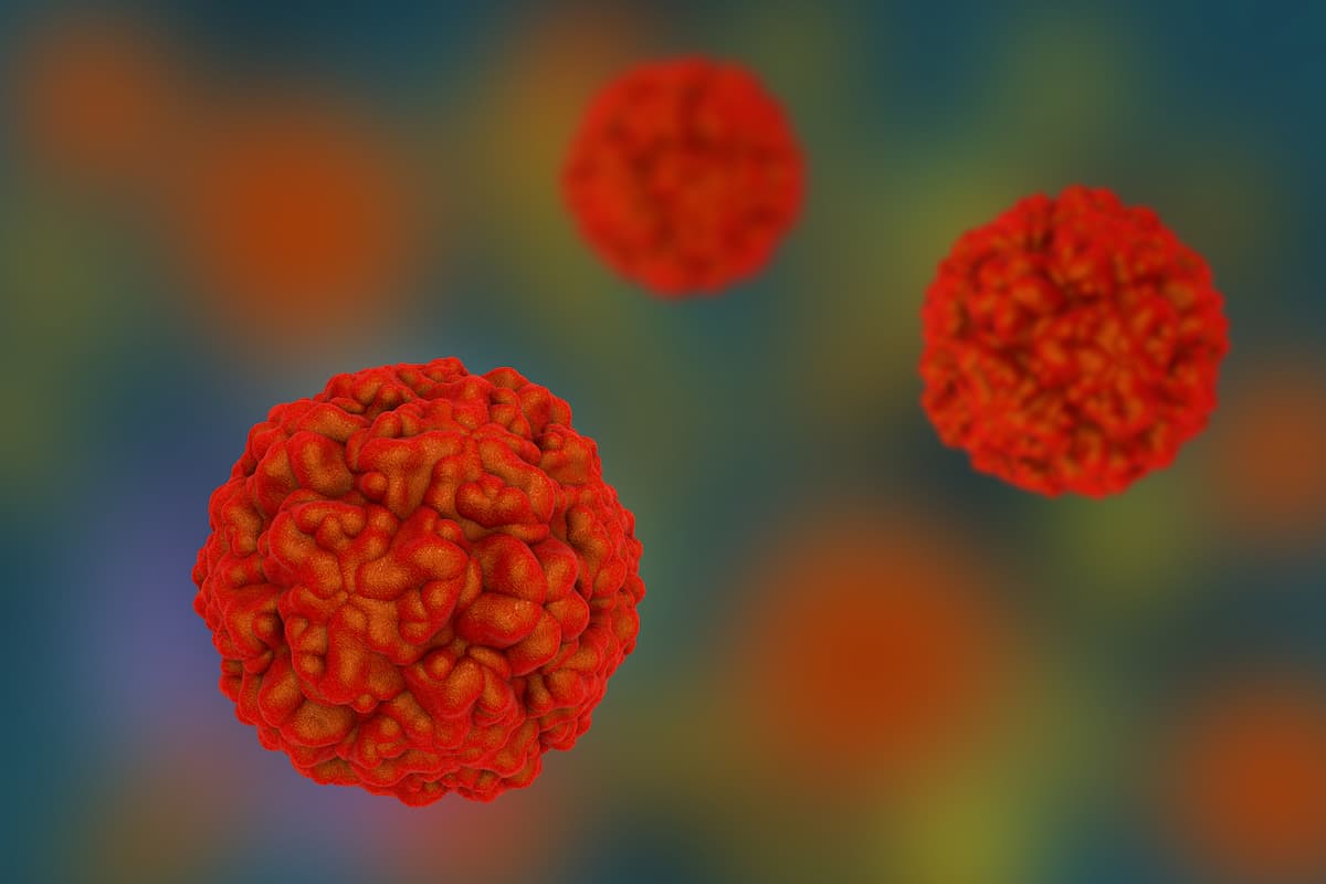 Common Cold Linked to Reduced Risk of COVID-19 Infection