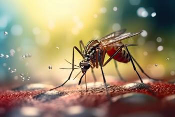 Closeup macro shot of Aedes Aegypti mosquito, Dengue outbreak in Dhaka, Bangladesh - Image credit: Mohammad | stock.adobe.com