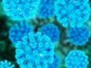 Updated Hepatitis C Guidelines Seek to Accelerate Testing Rates