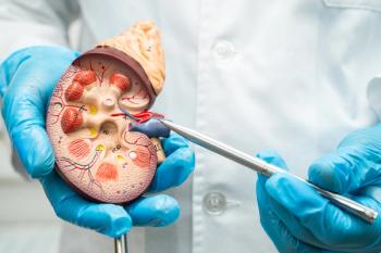 Model of kidney with chronic kidney disease (CKD) -- Image credit: amazing studio | stock.adobe.com