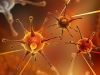 Neurosyphilis Occurence in Individuals with HIV