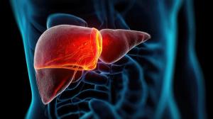 Liver pain: abdominal discomfort, hepatic strain, organ distress, bile issue, jaundice symptom, inflammation, detox failure, cirrhosis sign, liver infection, digestive disturbance.