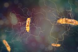 Five Things Pharmacists Should Know About C. difficile Infection