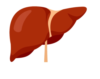 anatolir - stock.adobe.com