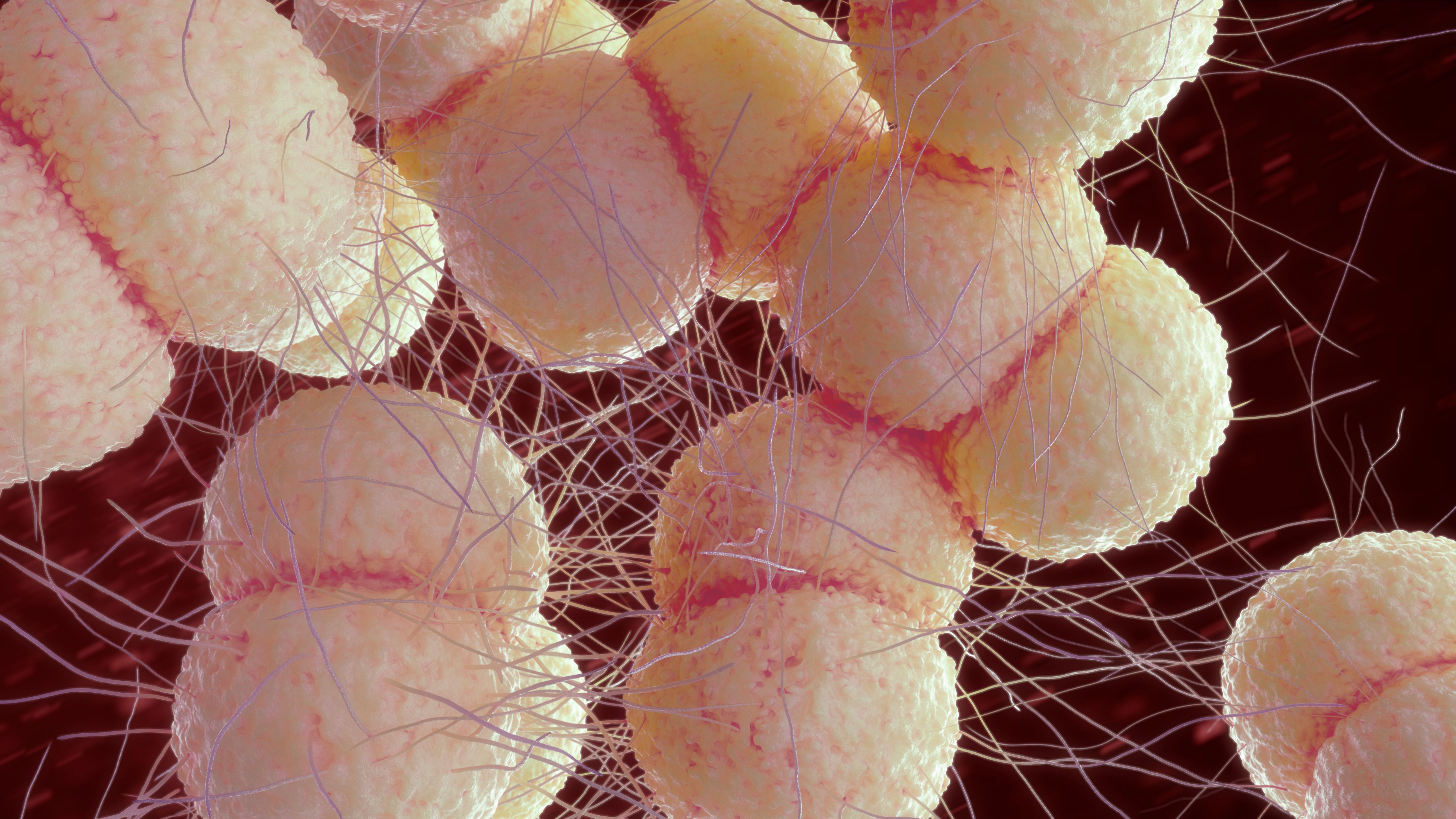 Positive Data Demonstrates Gepotidacin is Non-Inferior to Alternative Treatment in GC Positive Data Demonstrates Gepotidacin is Non-Inferior to Alternative Treatment in GC