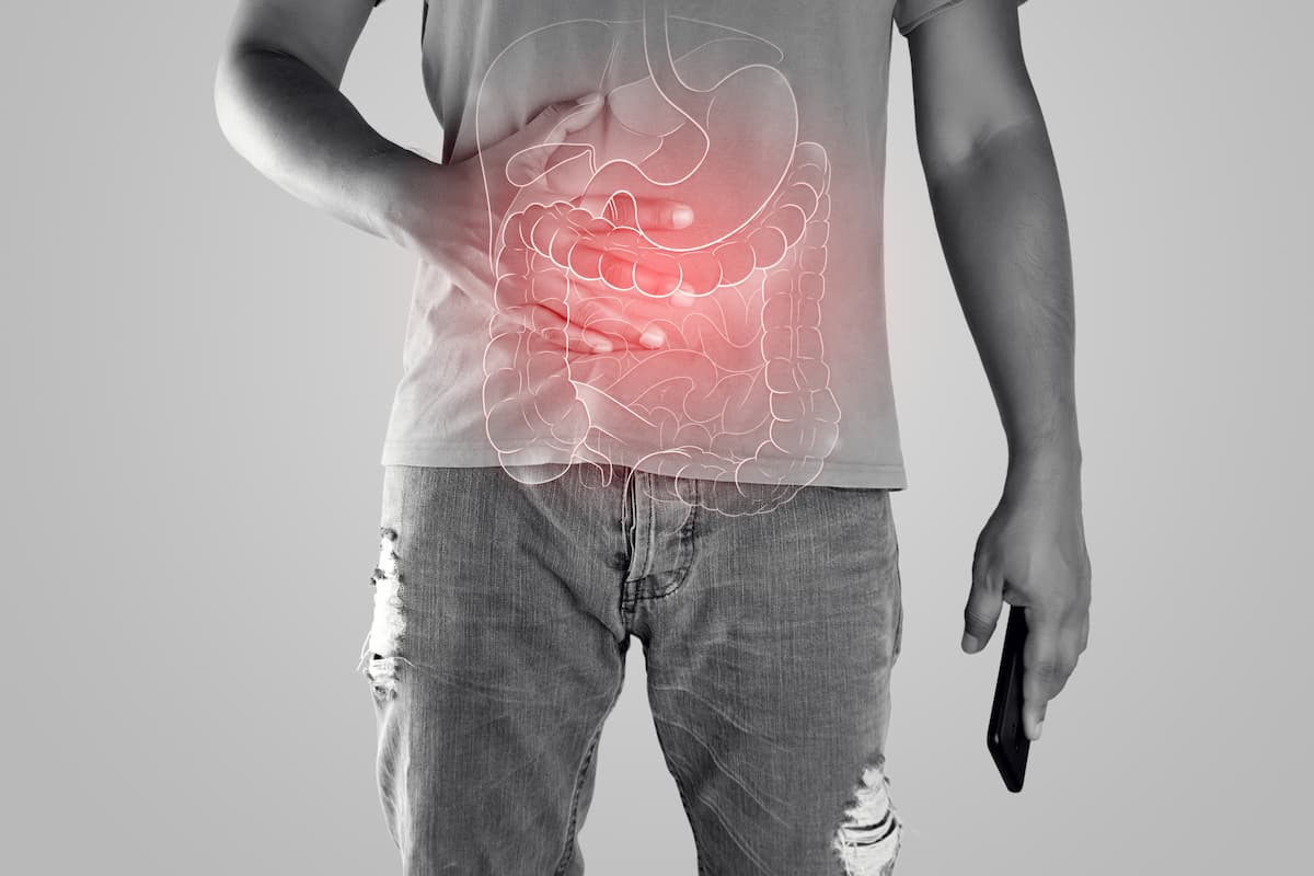 Illustration of internal organs is on the man body against the gray background. Peopel touching stomach painful suffering from enteritis. internal organs of the human body.