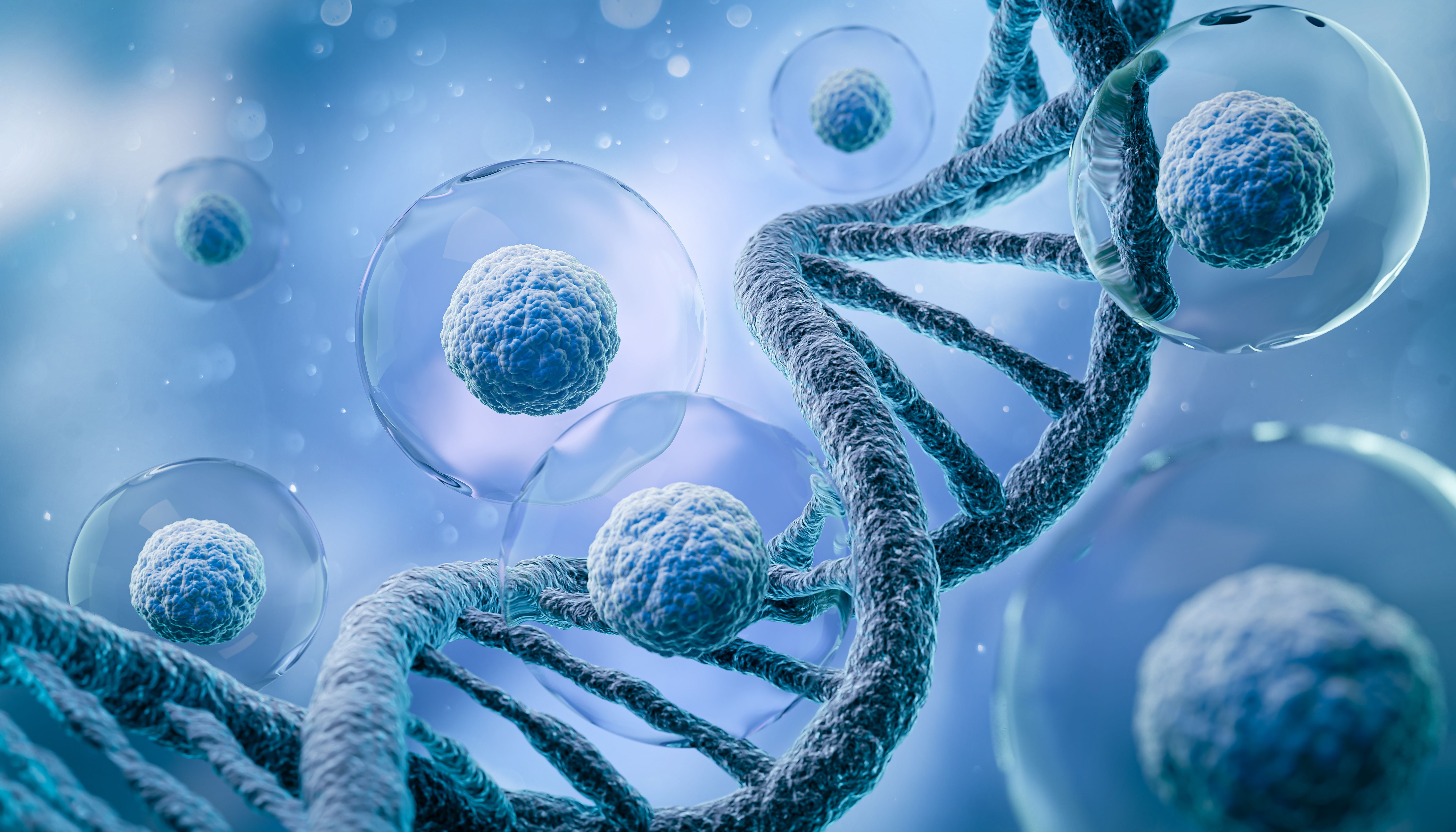 Human cell or Embryonic stem cell microscope background | Image Credit: Anusorn - stock.adobe.com