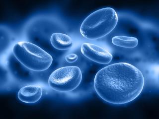The Causes and Characteristics of Congenital Plasminogen Deficiency
